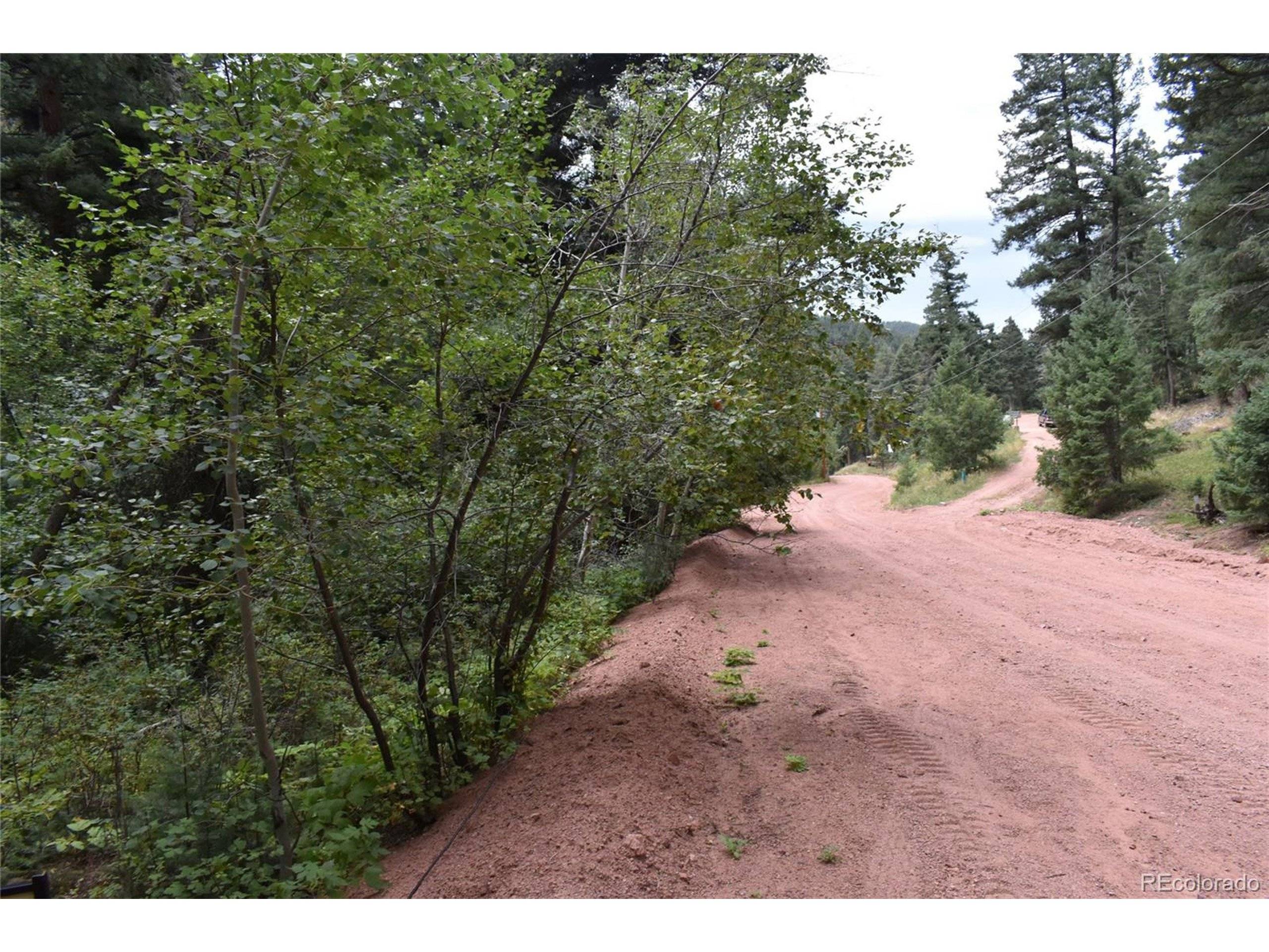 13371 Spruce Creek Cir, Larkspur, CO 80118