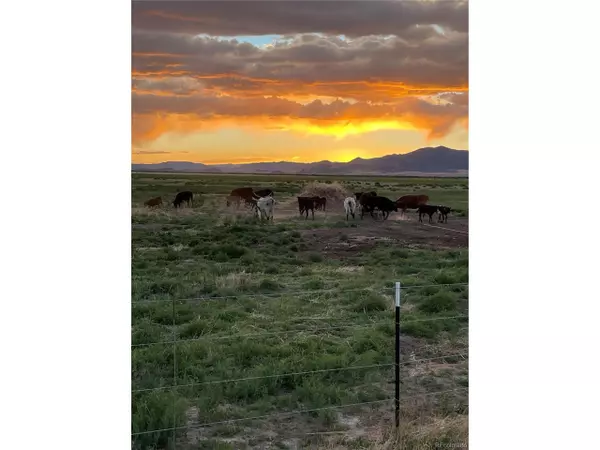 Moffat, CO 81143,19993 County Road 59
