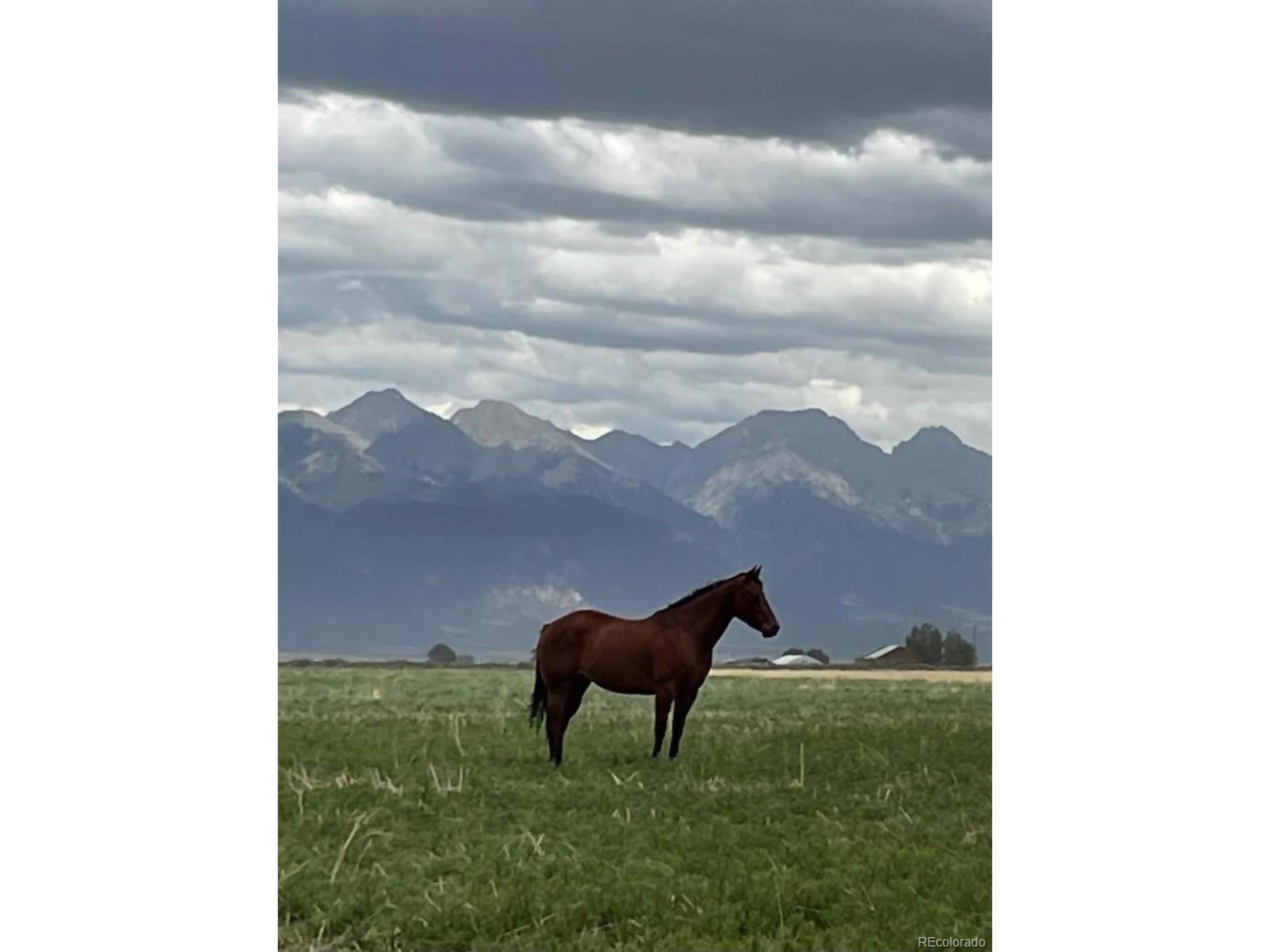 Moffat, CO 81143,19993 County Road 59