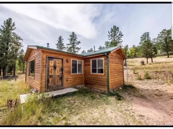 93 Lanier St, Bailey, CO 80421