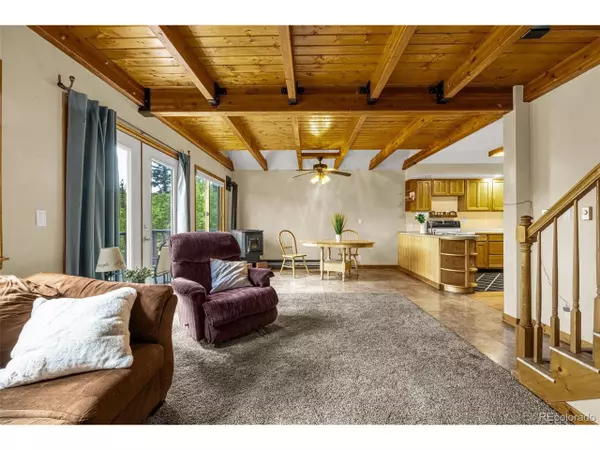 Divide, CO 80814,53 Lake Cir
