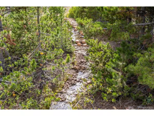 Idaho Springs, CO 80452,Beaver Rd