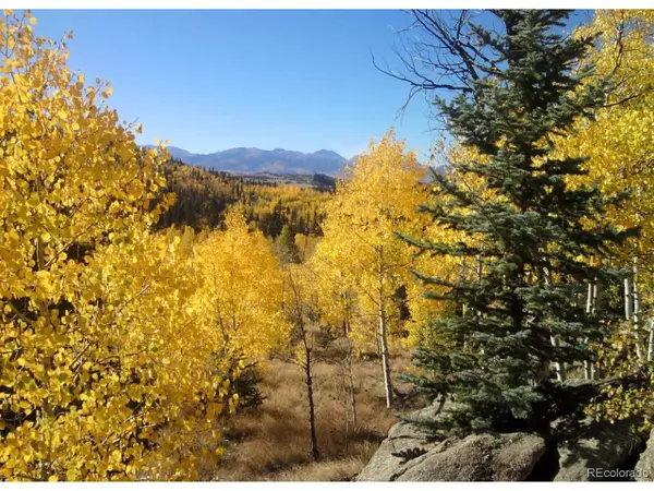 204 Strongbox Ct, Jefferson, CO 80456