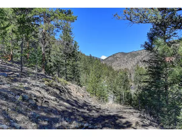 Stanley Rd,  Idaho Springs,  CO 80452