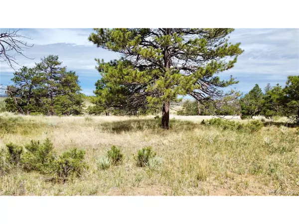 Ramah, CO 80832,32041 Cattle Circle