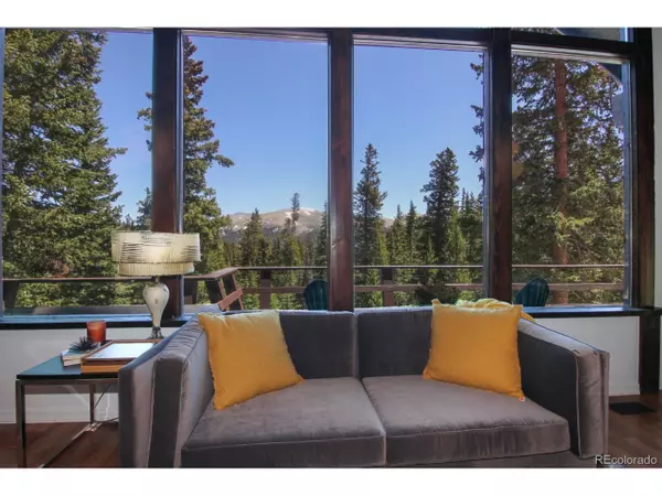 Alma, CO 80420,135 Nugget Ln