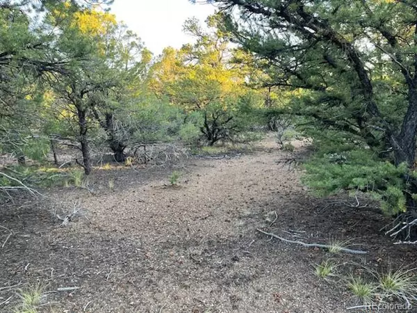 San Luis, CO 81152,1575 Balleroy Rd