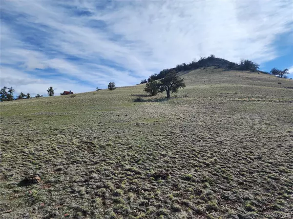 558 Chickadee Dr, Hartsel, CO 80449