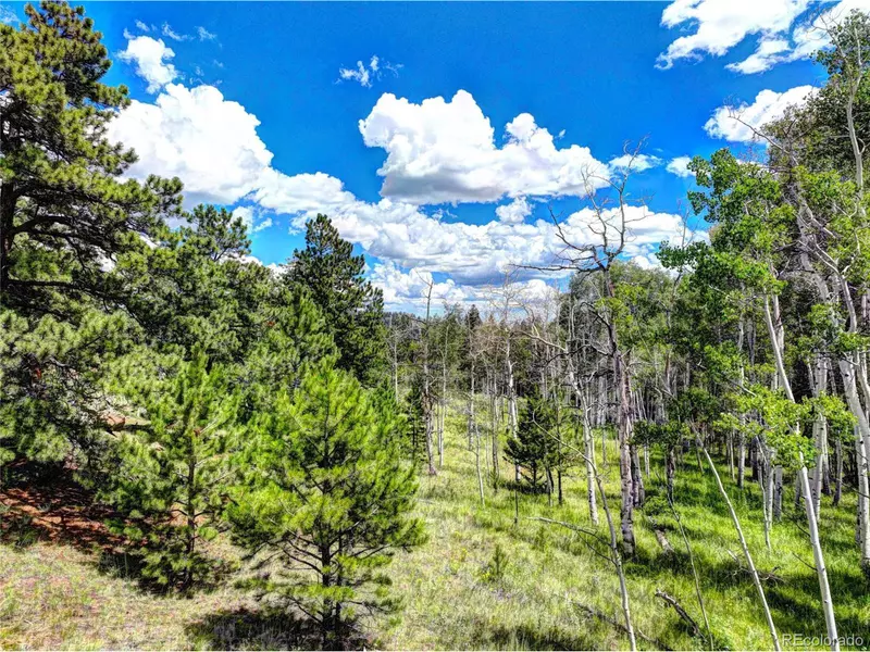 129 Badger Cir, Lake George, CO 80827