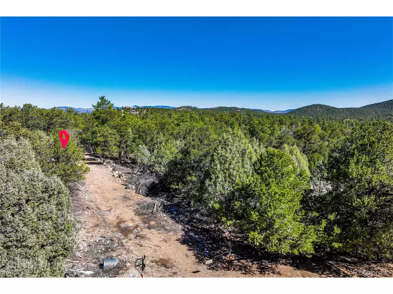 385 Cedar Ln, Cotopaxi, CO 81223