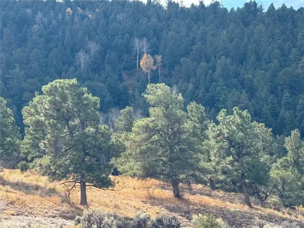 Fort Garland, CO 81133,284 Borman Dr