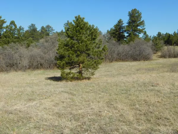 Larkspur, CO 80118,2055 Spring Beauty Ln