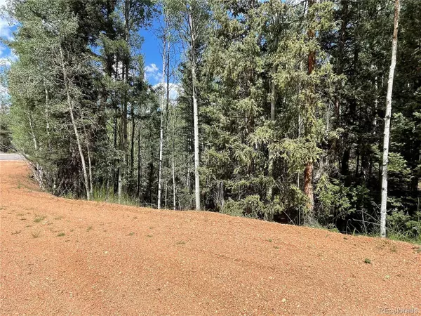 Divide, CO 80814,26 Hemitite Ln