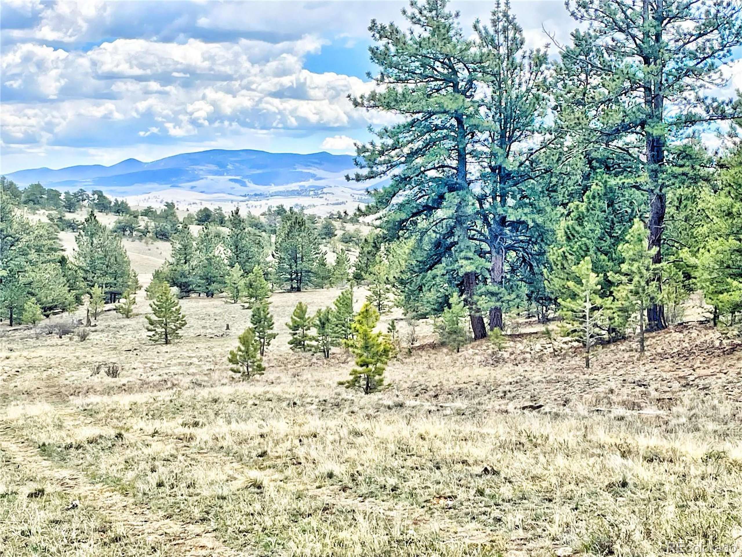 861 Hiawatha Cir,  Hartsel,  CO 80449