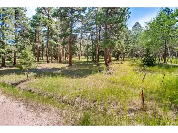 1 Richmond Hill Rd, Conifer, CO 80433