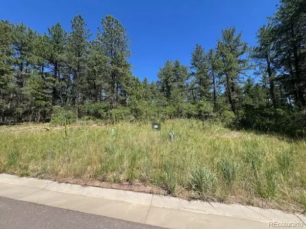 Larkspur, CO 80118,773 Copper Fox Pl