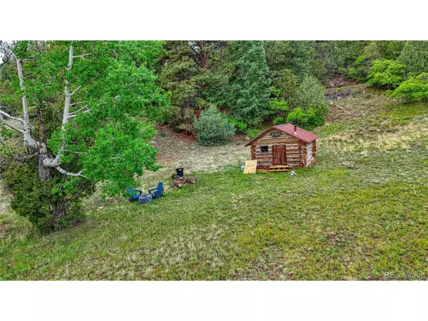 Florissant, CO 80816,696 Wavelyn Ann Dr