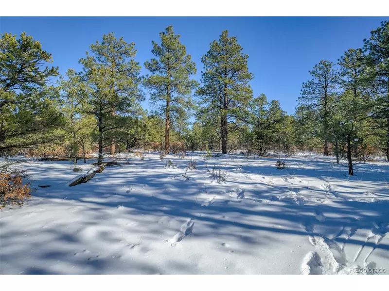 Rancho Escondido Lot 15, Weston, CO 81091