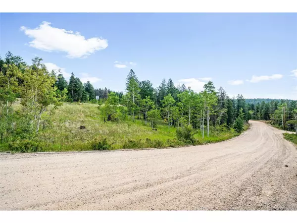 Black Hawk, CO 80422,103 Juniper Rd