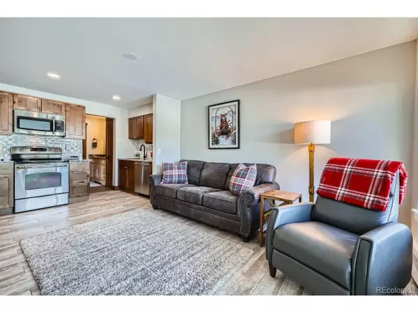 414 Tenderfoot St #11, Dillon, CO 80435