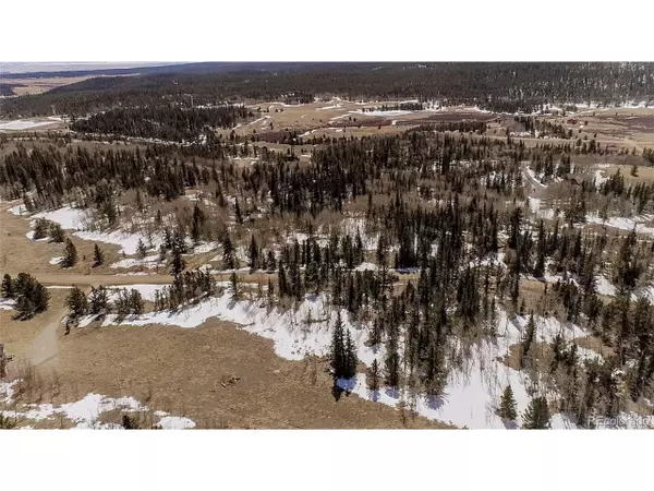 815 Adventure Rd, Alma, CO 80420