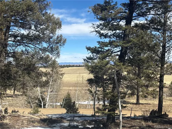 Hartsel, CO 80449,2187 Bellows Rd