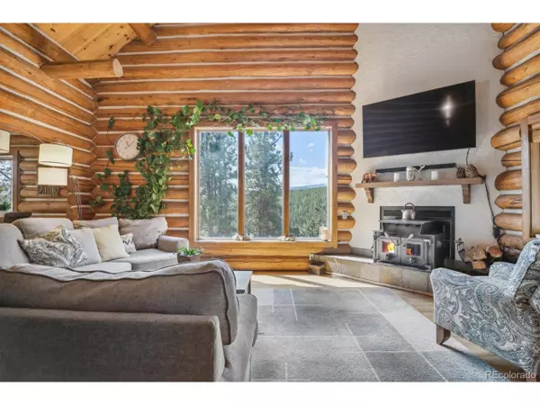 Nederland, CO 80466,50 Sundance Cir