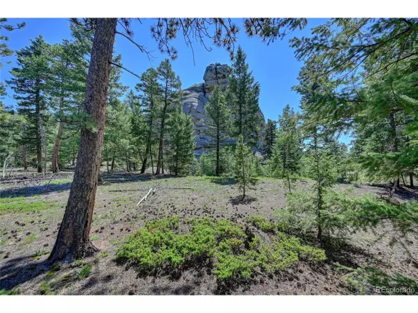 Conifer, CO 80433,0 Eagle Cliff Trl