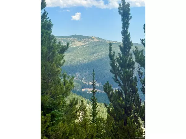 Idaho Springs, CO 80452,468 Hillside Rd