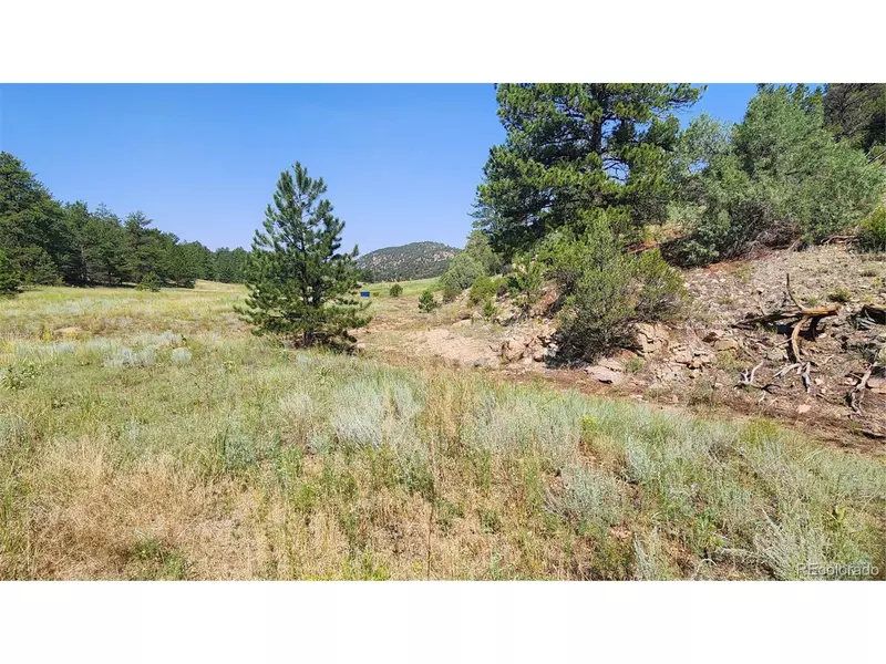 553 Coyote Run, Cotopaxi, CO 81223