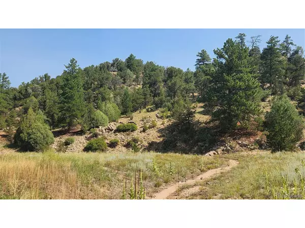 Cotopaxi, CO 81223,553 Coyote Run
