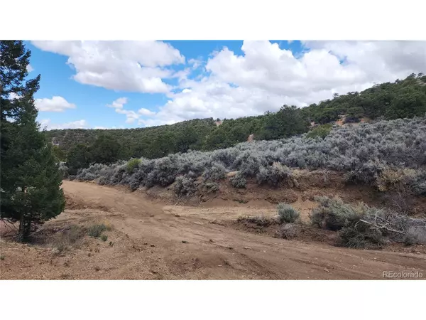 Fort Garland, CO 81133,7430 Waligunda Rd