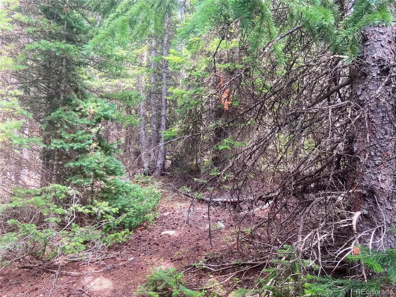 0 FS 413.1, Black Hawk, CO 80422