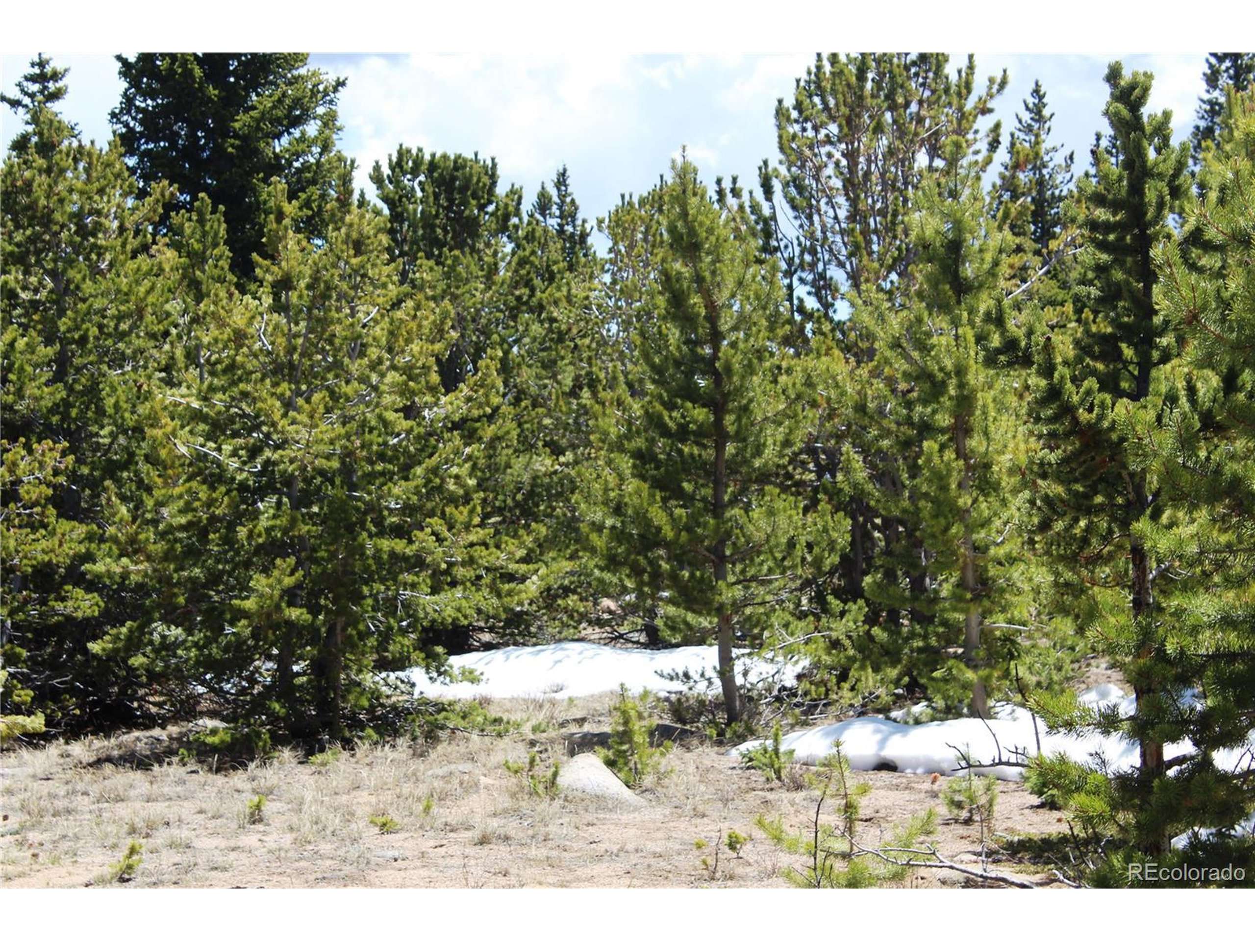 Idaho Springs, CO 80452,12 Lamartine Rd