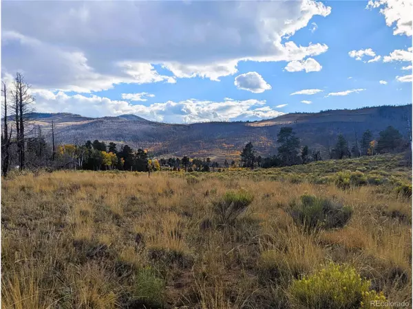 Fort Garland, CO 81133,1129 Laker Ln