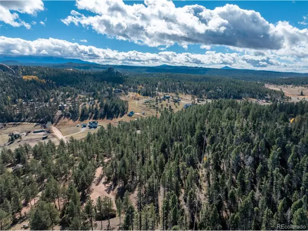 Florissant, CO 80816,205 Stonehenge Dr