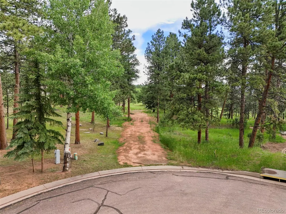 Woodland Park, CO 80863,220 Wildrose Ct