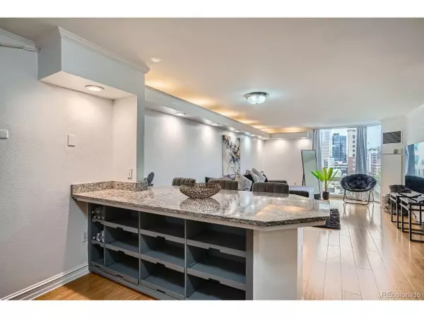 Denver, CO 80202,1625 Larimer St #1104