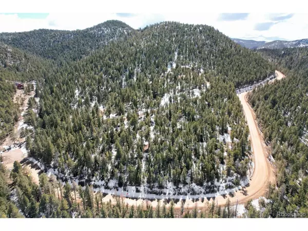 1352 Gross Dam Rd, Golden, CO 80403