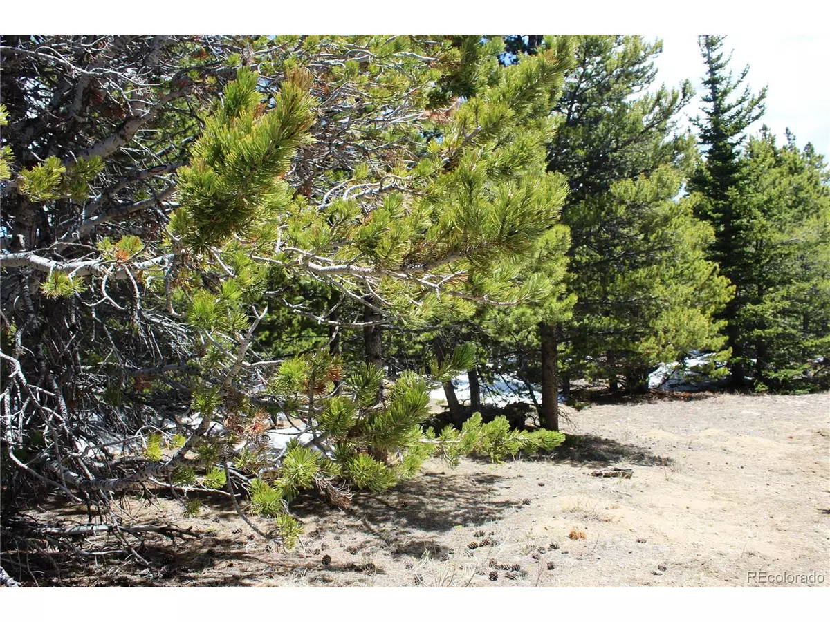 Idaho Springs, CO 80452,11 Lamartine Rd