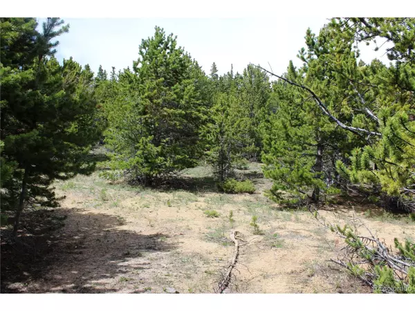 Idaho Springs, CO 80452,11 Lamartine Rd