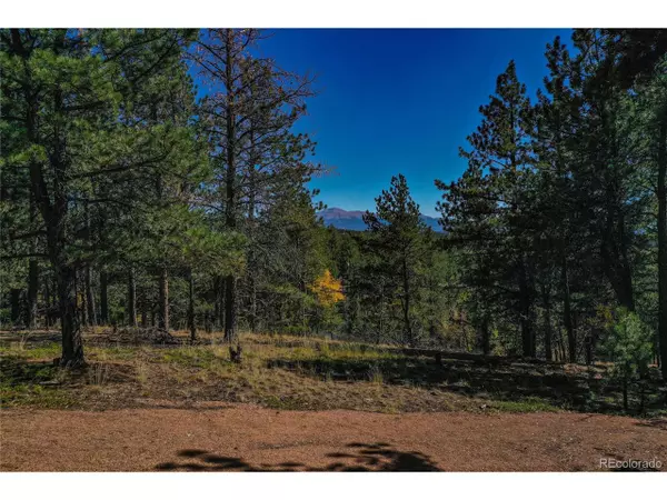 Florissant, CO 80816,3447 Pathfinder Rd