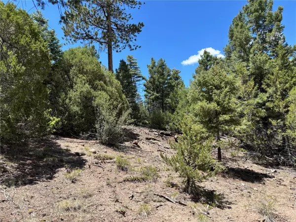 0 Sesame Rd, Fort Garland, CO 81133
