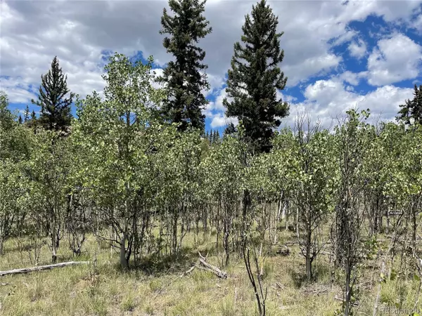 771 Teton Trl, Como, CO 80432
