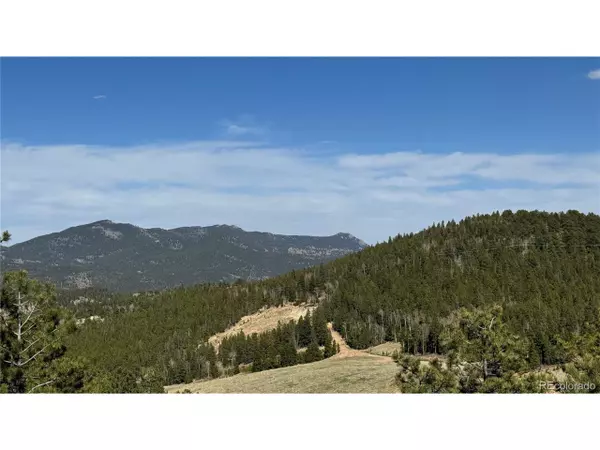 Central City, CO 80427,5 Pewabic Mine Rd