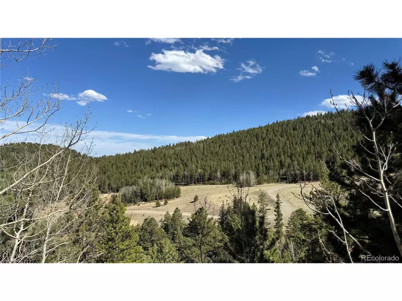 5 Pewabic Mine Rd, Central City, CO 80427