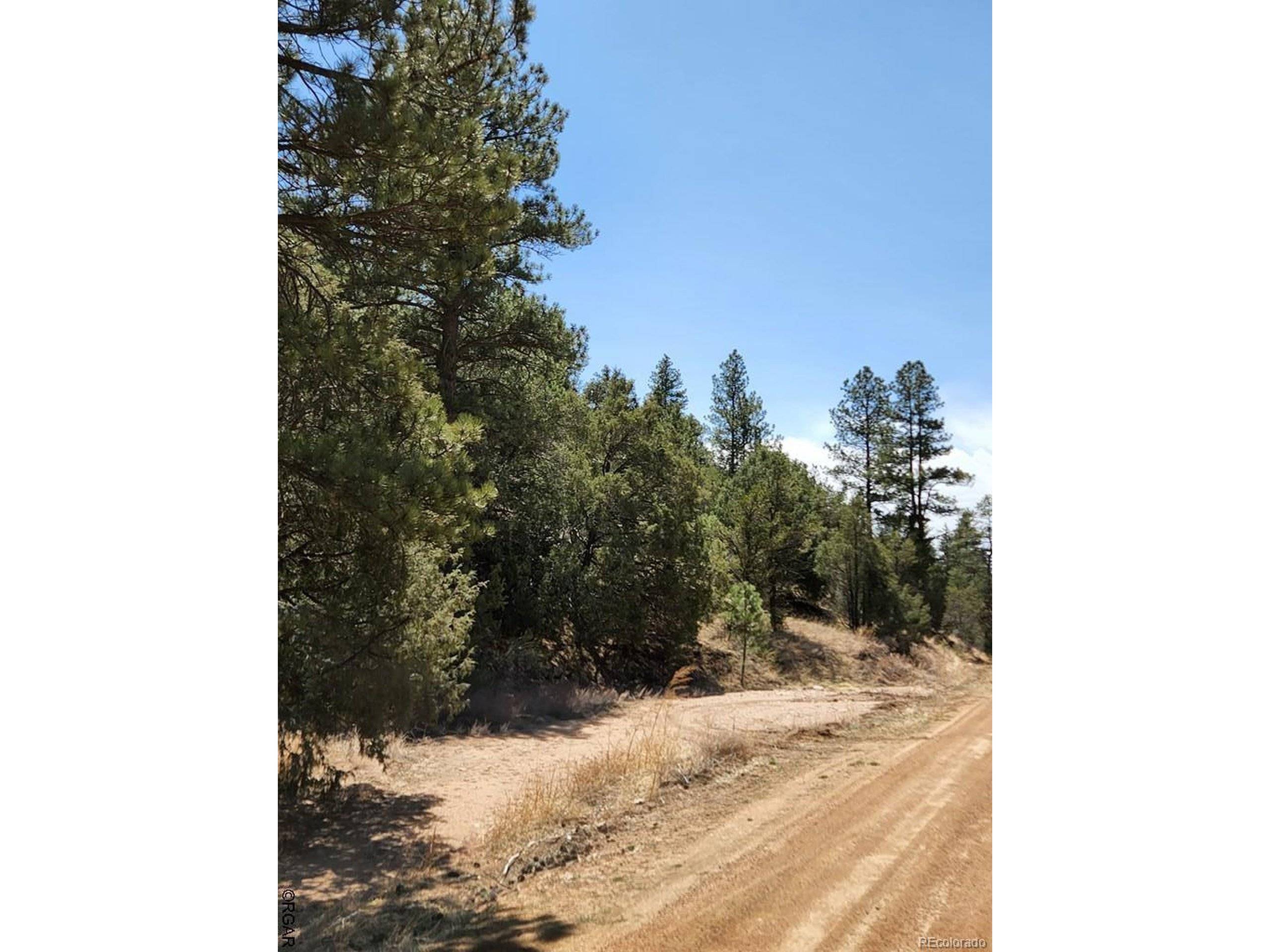 Cotopaxi, CO 81223,1314 Arnold Dr