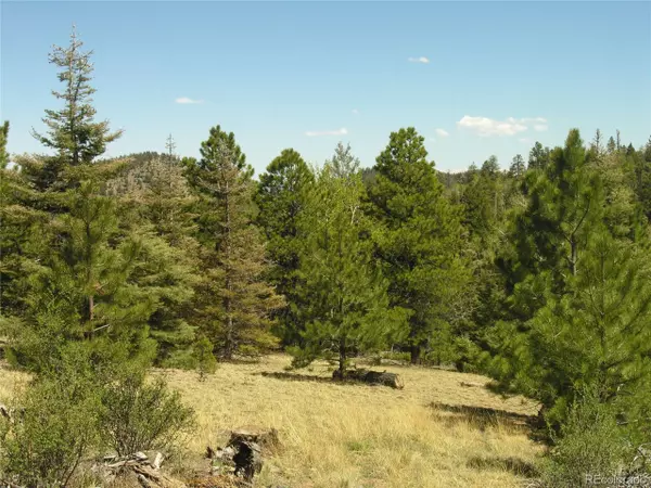 28 Copper Mountain Rds, Cotopaxi, CO 81223