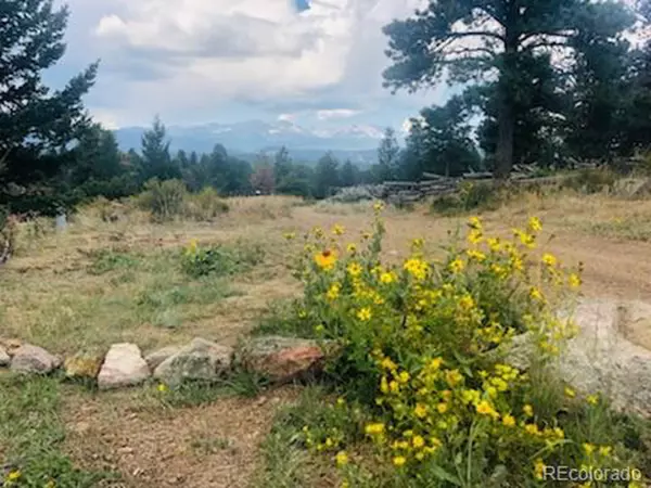 Nederland, CO 80466,4659 Ridge Rd