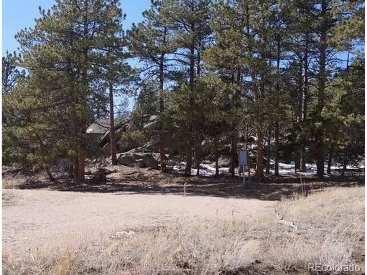 Red Feather Lakes, CO 80545,121 Piney Knolls Dr